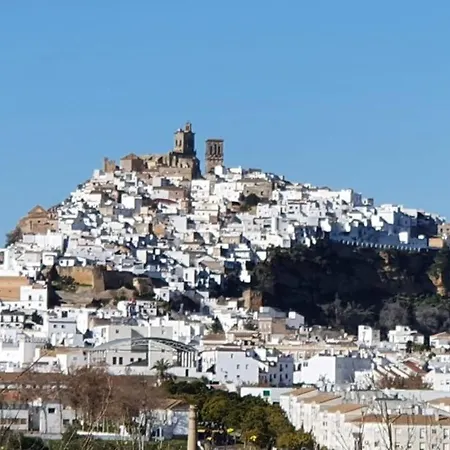 לינה וארוחת בוקר Boutique